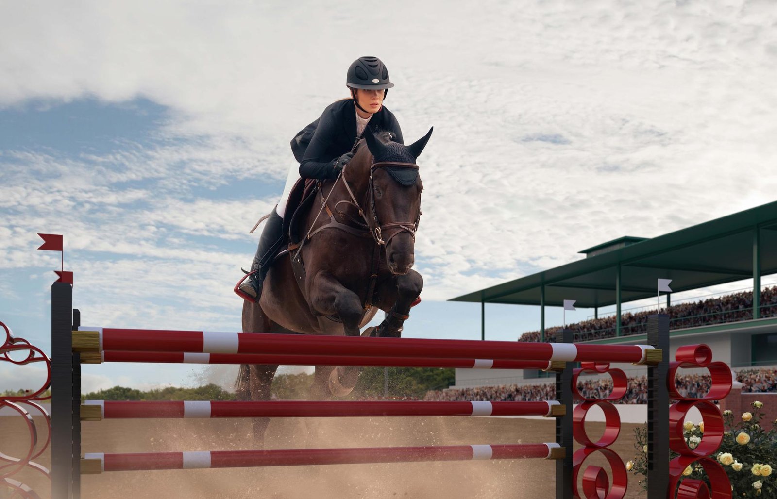 Gill Equestrian 2