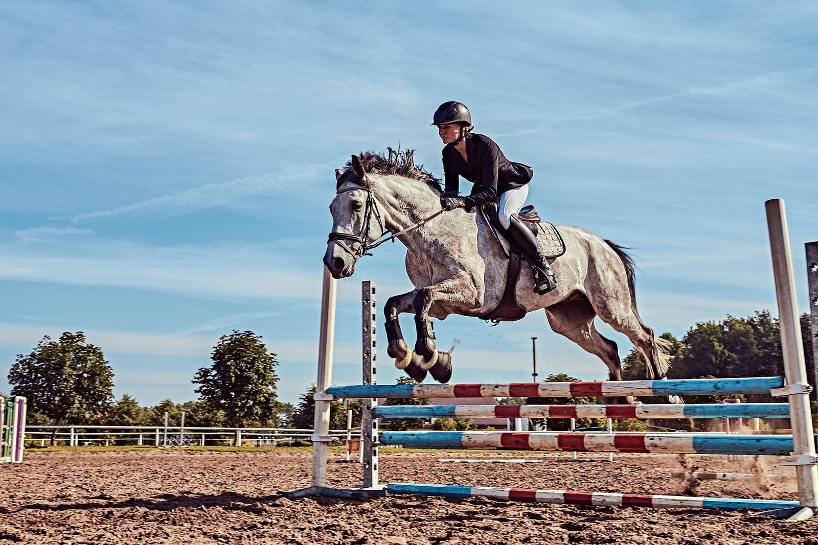 Gill Equestrian 3
